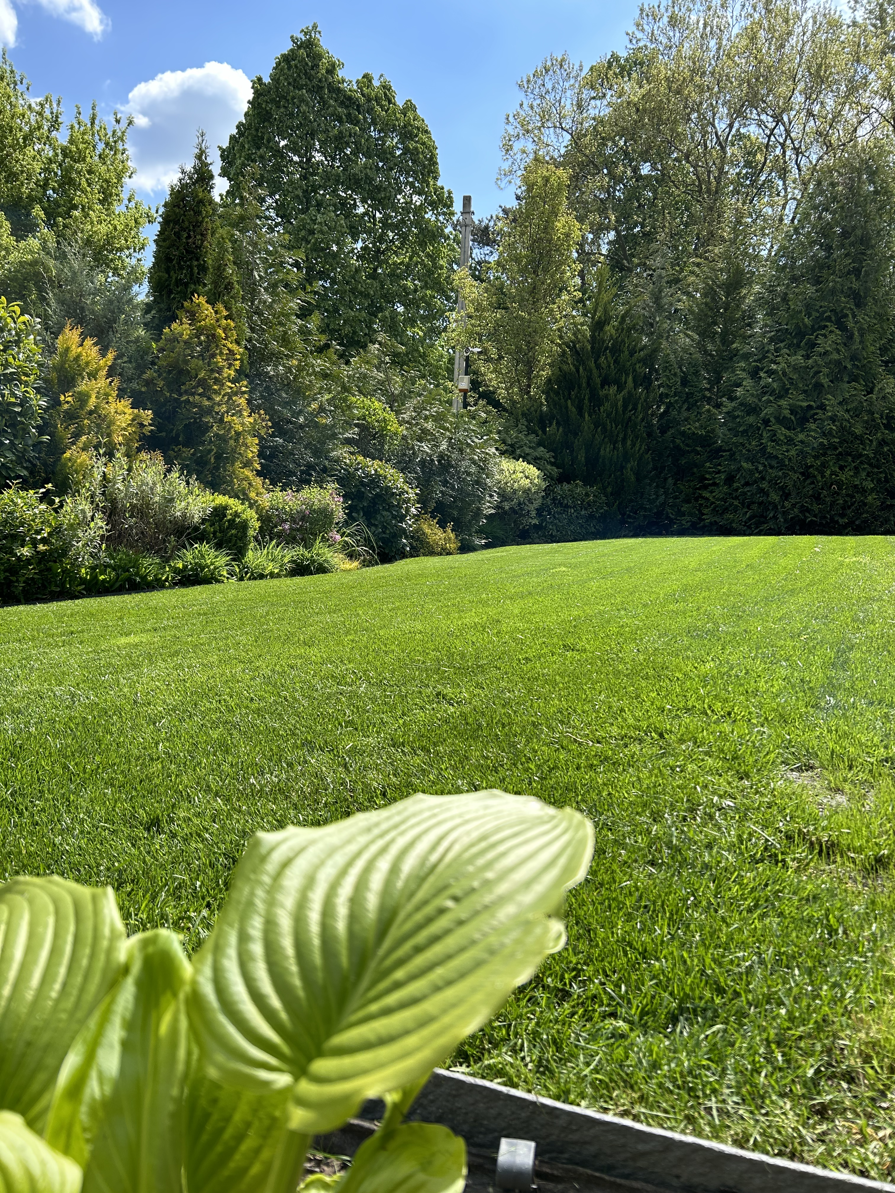 Kertépítés referencia 2